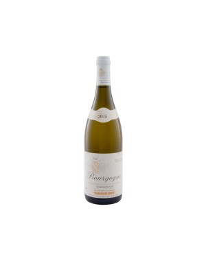 Bourgogne blanc Chardonnay 2015 Domaine Chavy